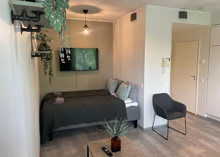 Apartman Rouhee Downtown *